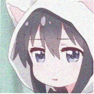 读者苏迟的头像